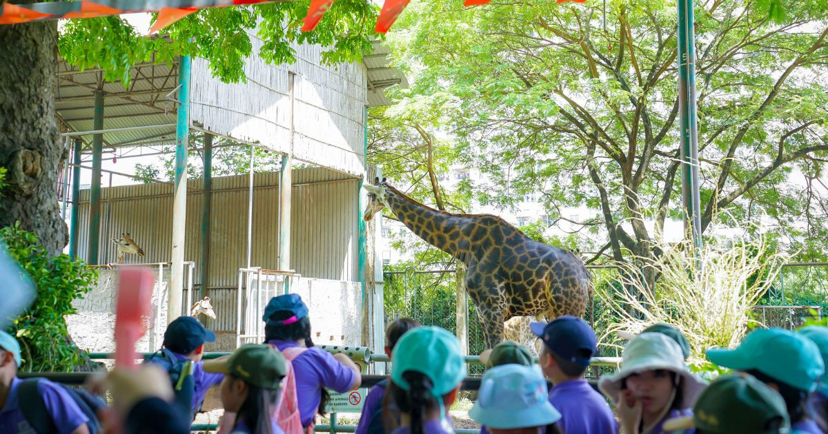 Chương trình dã ngoại HKI khối Tiểu học: cùng con khám phá thế giới thiên nhiên
