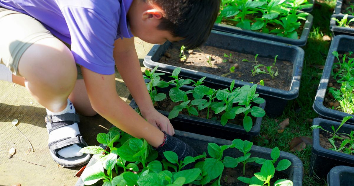 "Greenfield Garden" - Một mầm cây được gieo, một tình yêu Trái Đất được gửi gắm